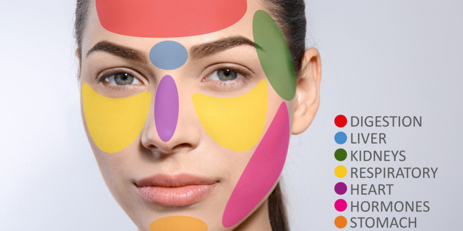 White Shirt 2021 12 01T105158.831