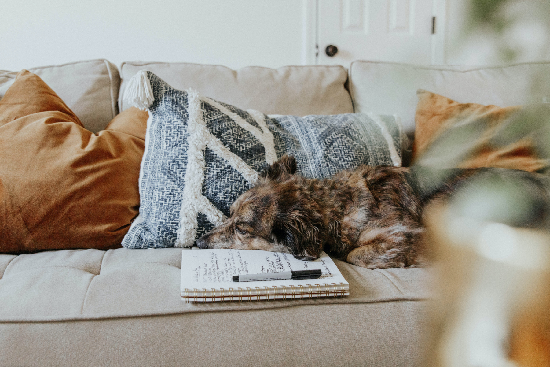 Untitled Design (23)