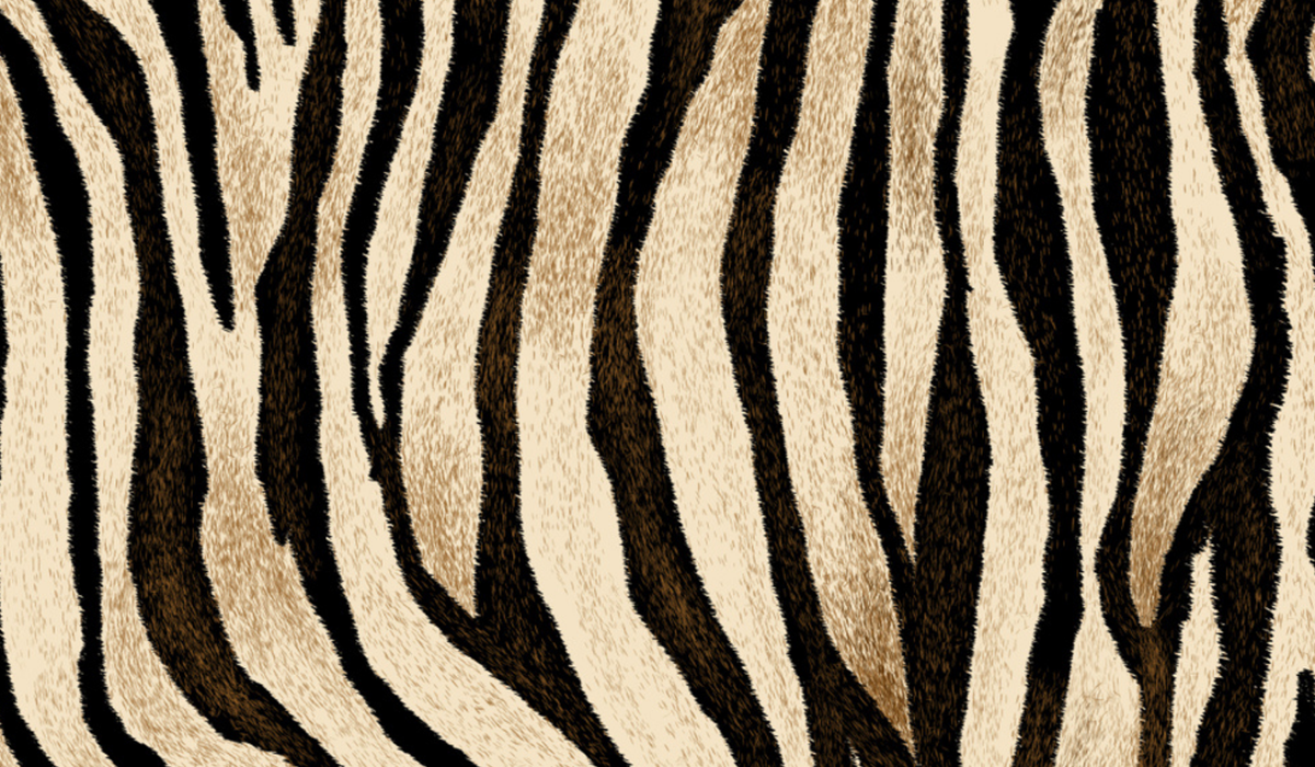 zebra-print