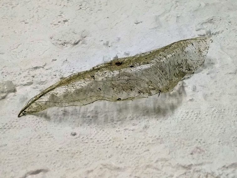 I Ekthesi Thw Katerinas Katsifaraki Sti Nhma 2