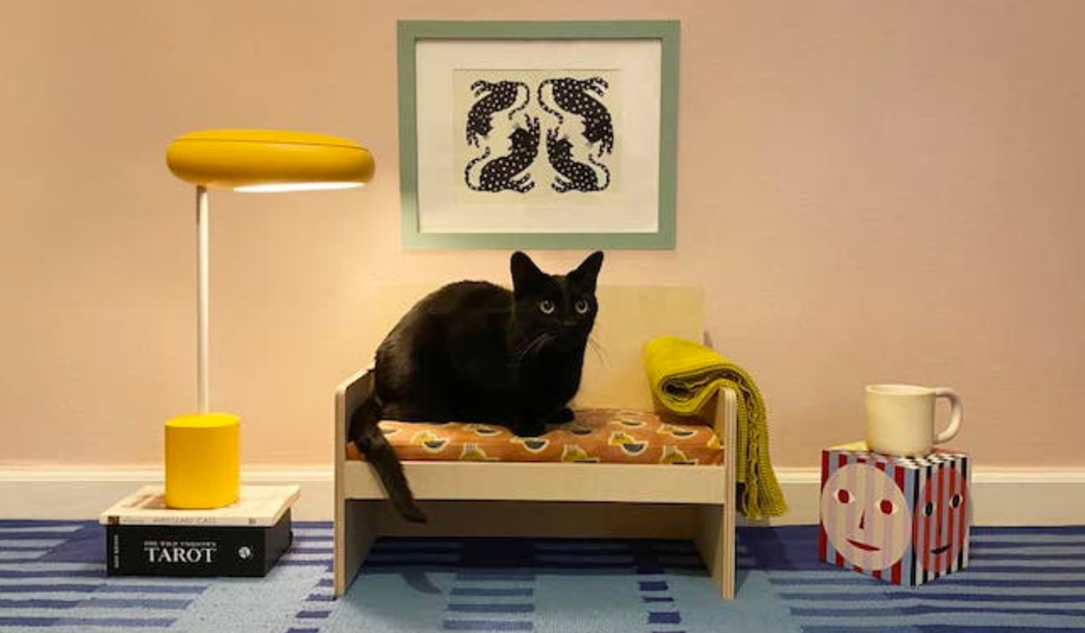 White Shirt 2021 11 19T114358.643