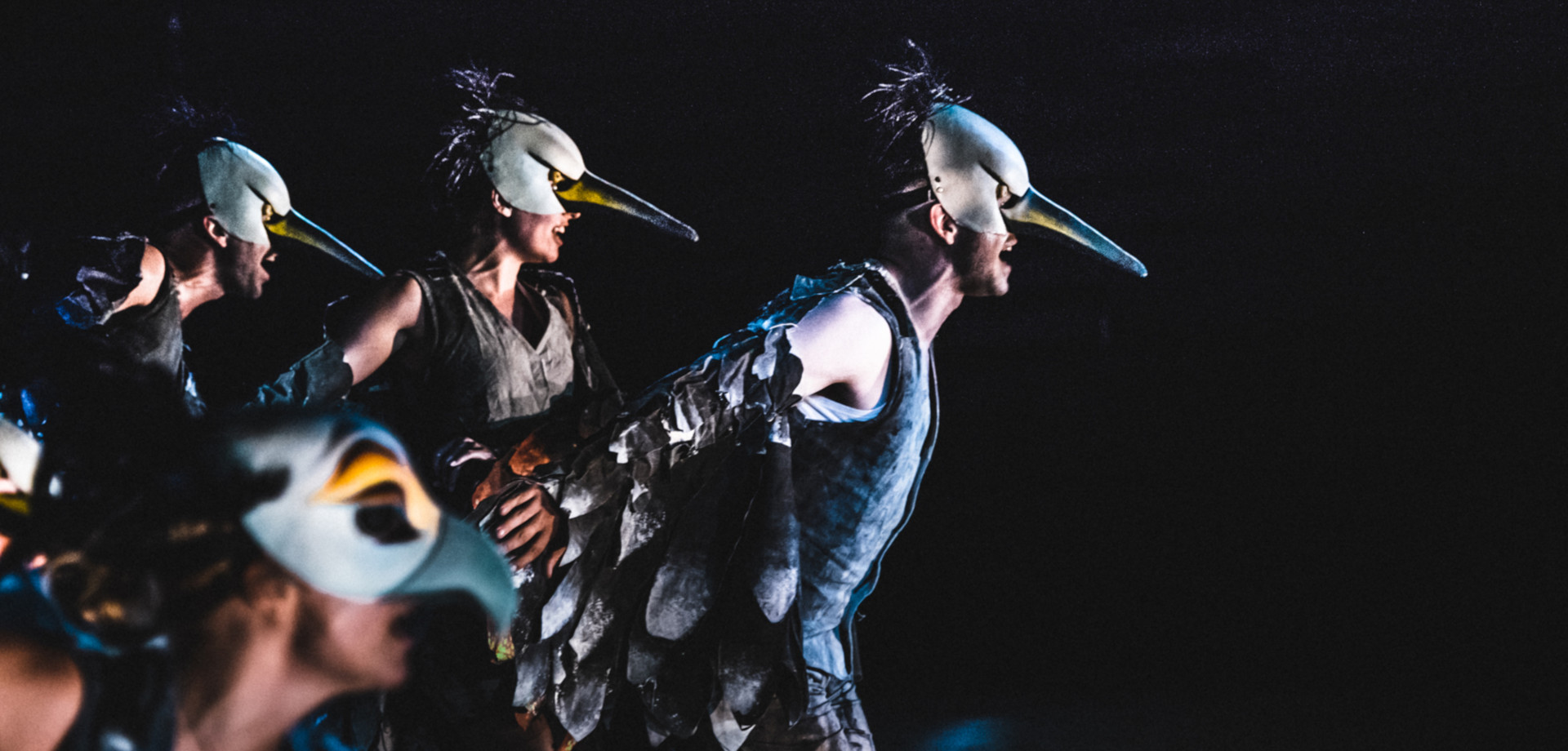 Ornithes Tou Aristofanh Sthn Epidayro Main