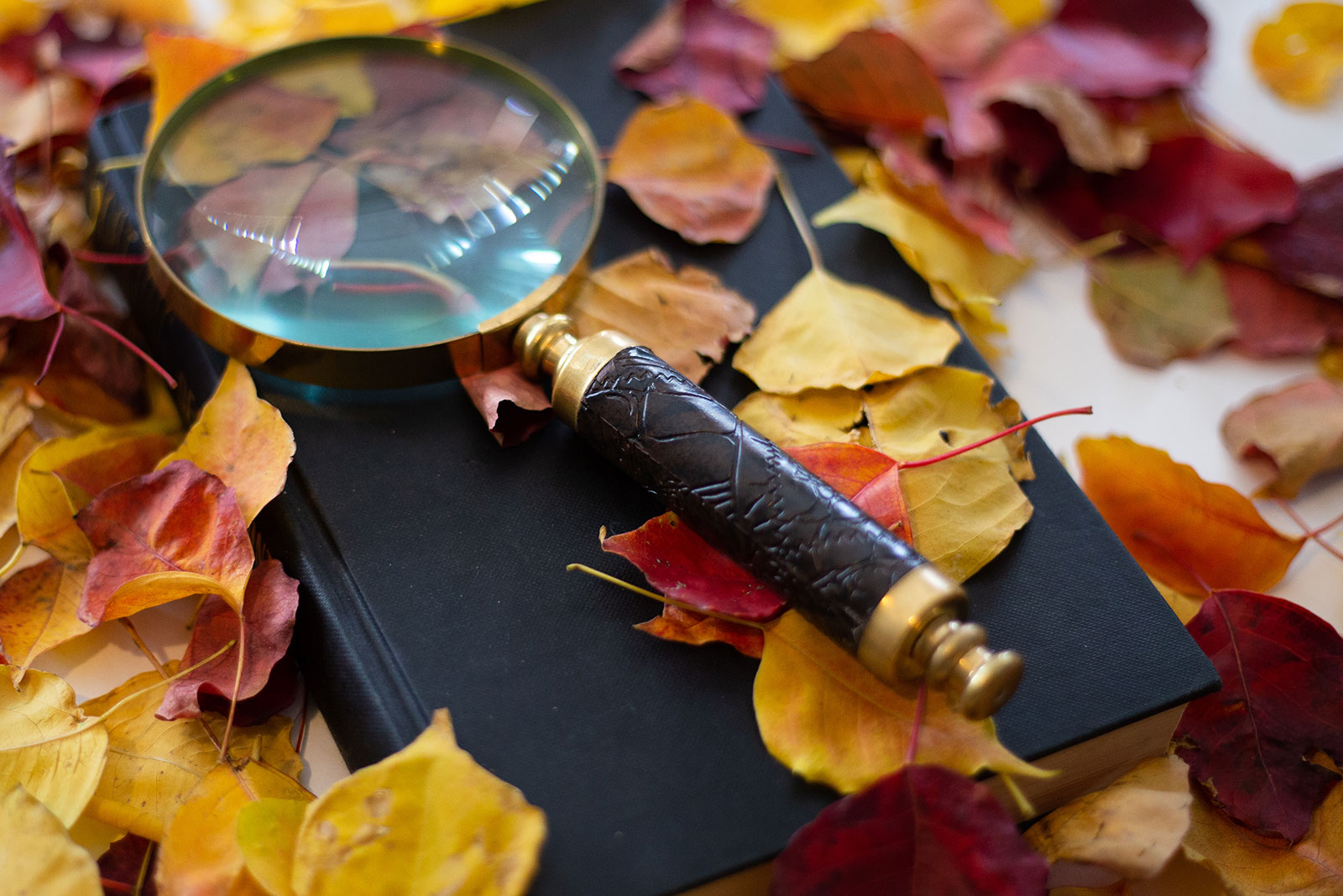 Istories Mystiriou Apo Tin ... Skandinabia